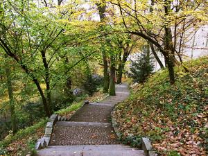 Petrin Hill (Vrch Petřín)